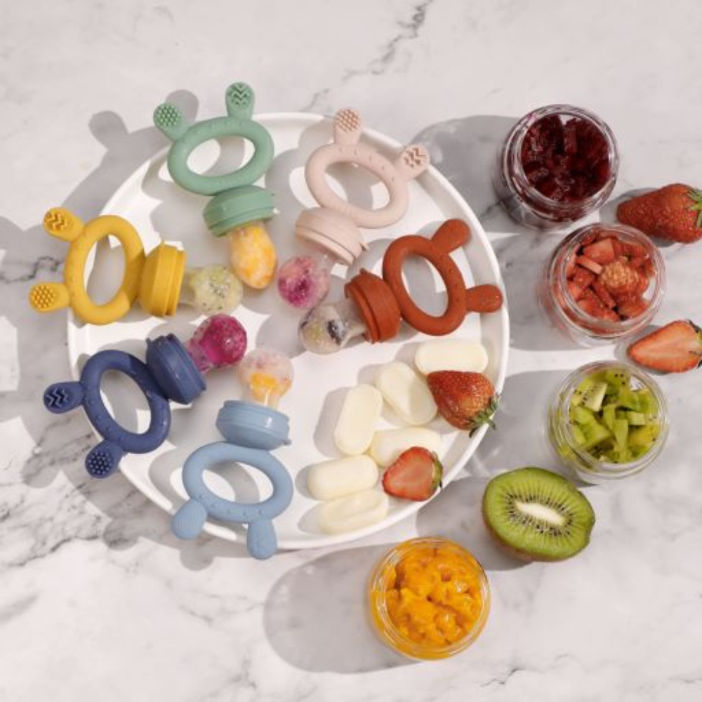 All You Need To Know About Baby Fresh Food & Fruit Feeders